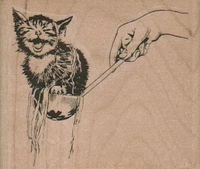Cat In Spaghetti 2 3/4 x 2 1/2-0