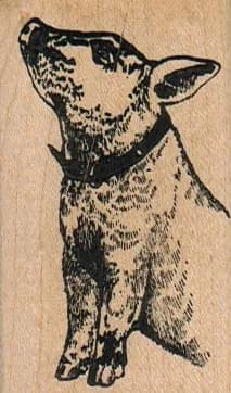 Pig In Collar 1 1/2 x 2 1/2-0