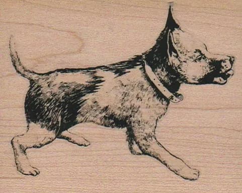 Dog Run 2 1/2 x 3 1/4-0