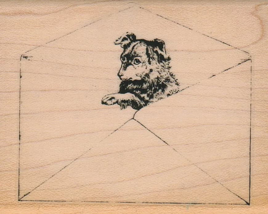 Dog In Envelope 2 1/2 x 3-0