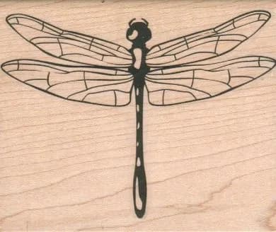 Dragonfly Large/Clear 3 x 3 1/2-0