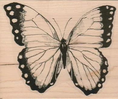Butterfly/Spotted Wingtips 3 1/2 x 4 1/4-0