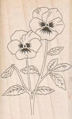 Pansy Duo 1 3/4 x 2 3/4-0