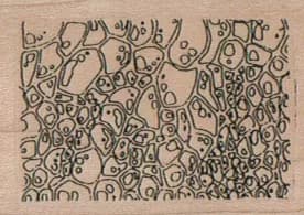 Texture/Suburbs 1 1/2 x 2-0