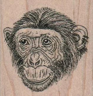 Chimpanzee Face 2 1/4 x 2 1/4-0