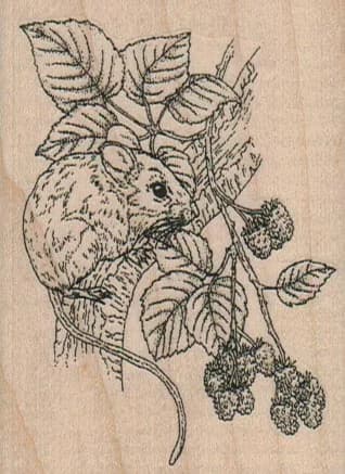 Mouse And Berries 2 1/4 x 3-0