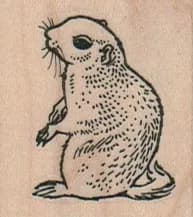 Groundhog 1 1/2 x 1 1/2-0