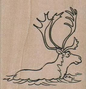 Caribou Swimming 2 x 2-0