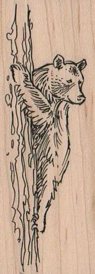 Bear Climbing Tree 1 1/2 x 3 3/4-0