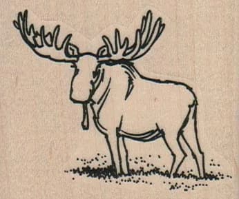 Moose Side 2 1/2 x 2-0