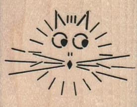 Surprised Cat 2 x 1 1/2-0
