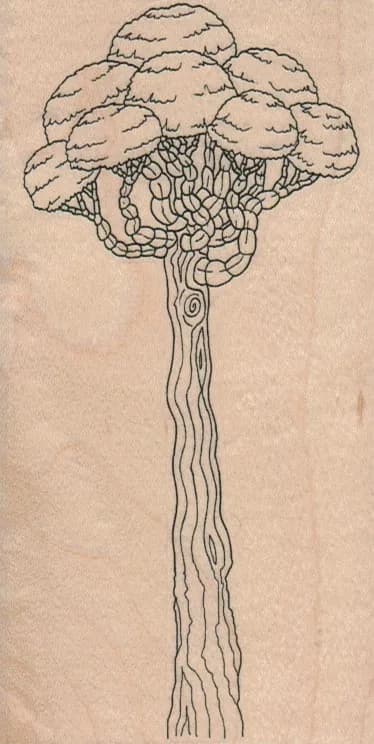 Pruned Tree 2 3/4 x 5-0