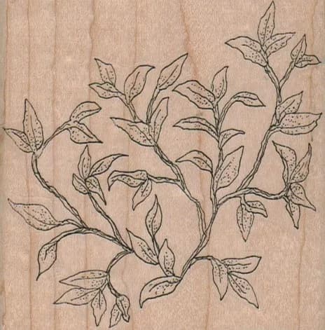 Branches Of Leaves 3 1/4 x 3 1/4-0