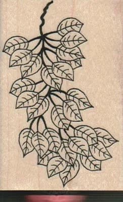Leaves And Three Extra Leaves 1 3/4 x 2 1/2-0