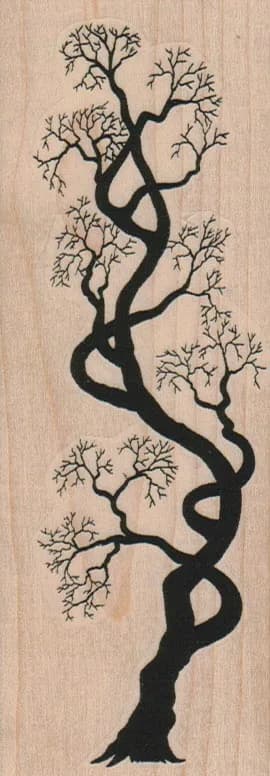 Crooked Tree 2 x 5 1/4-0