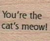You're The Cat's Meow 3/4 x 3/4-0