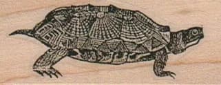 Turtle Walking 1 x 2 1/4-0