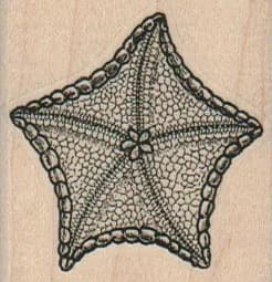 Starfish Solid 1 3/4 x 1 3/4-0