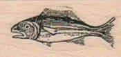 Surprised Fish 3/4 x 1 3/4-0