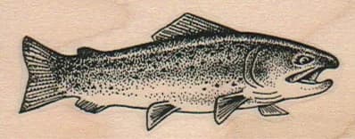 Rainbow Trout (Medium) 1 1/4 x 2 3/4-0