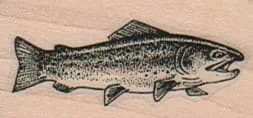 Rainbow Trout (Small) 1 x 1 3/4-0