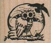 Owl Moon 1 1/4 x 1-0