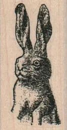 Bug-Eyed Bunny 1 x 1 3/4-0