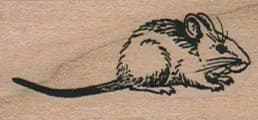 Pygmy Mouse (Large) 1 x 1 3/4-0