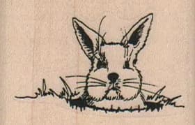 Rabbit In A Hole (Large) 2 x 1 1/4-0
