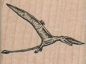 Flying Dino - RhamphorHynchus 2 x 1 1/2-0