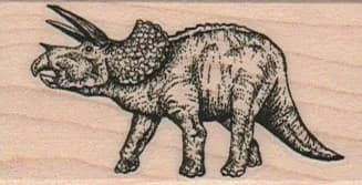 Dinosaur - Triceratops 1 1/4 x 2 1/4-0