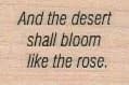 And The Desert Shall Bloom 1 x 1 1/4-0