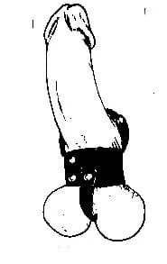 All Strapped Up 1 1/2 x 3-0