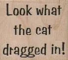 Look What The Cat 1 1/2 x 1 1/4-0