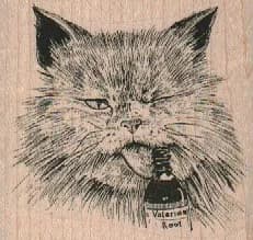 Valerian Root Cat 2 1/2 x 2 1/4-0