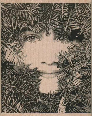 Face In Fir 4 x 5-0