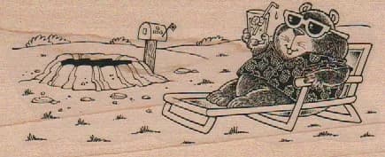 Groundhog Relaxing 2 x 4 1/2-0