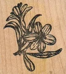 Stampacadabra Plant 2 1/2 x 2 1/4-0