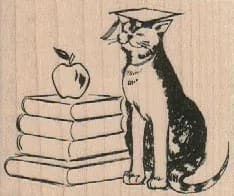 Cat Graduate 2 1/2 x 2-0
