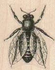 Large Bee 1 1/4 x 1 1/2-0