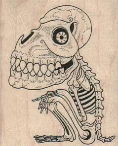Giant Head Skeleton 2 1/2 x 3-0