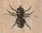 Fly 1 x 3/4-0