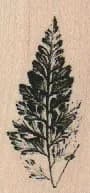 Leaf 1 x 2-0