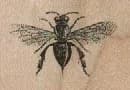 Small Wasp 1 1/2 x 1-0