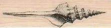 Long Shell 3/4 x 2 1/4-0