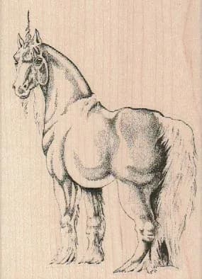 Unicorn 3 x 4-0