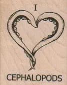 I Heart Cepahlopods 1 1/2 x 1 3/4-0
