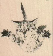 Leaping Kitten 2 x 2-0