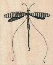Whimsical Dragonfly 2 x 2 1/4-0