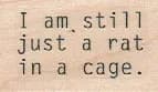 I Am Still Just A Rat 1 x 1 1/2-0